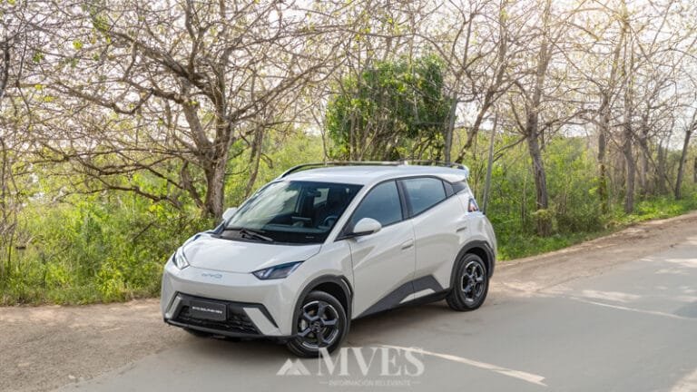 BYD Dolphin Mini vs BYD Dolphin